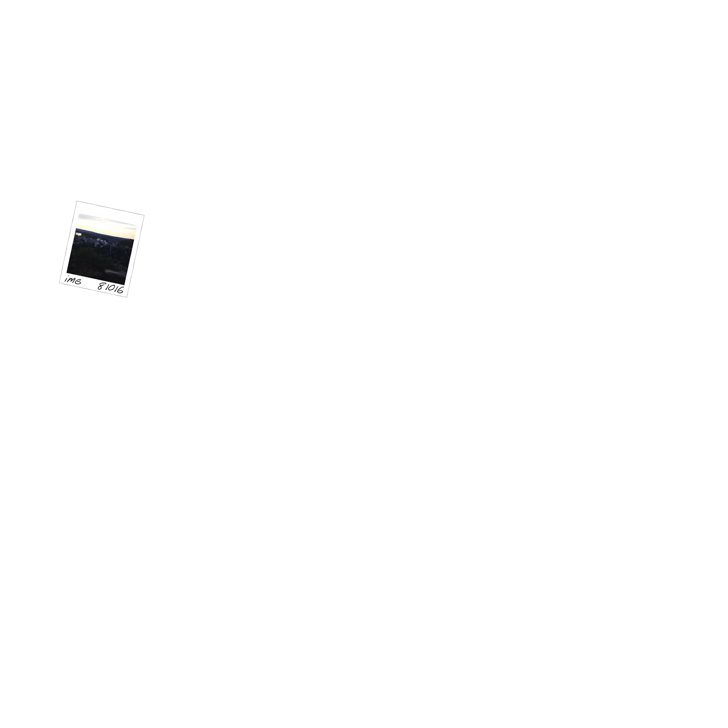 iMG Logo
